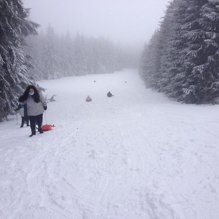 Duplex Superbe Vue Montagne Apartman La Bourboule Kültér fotó