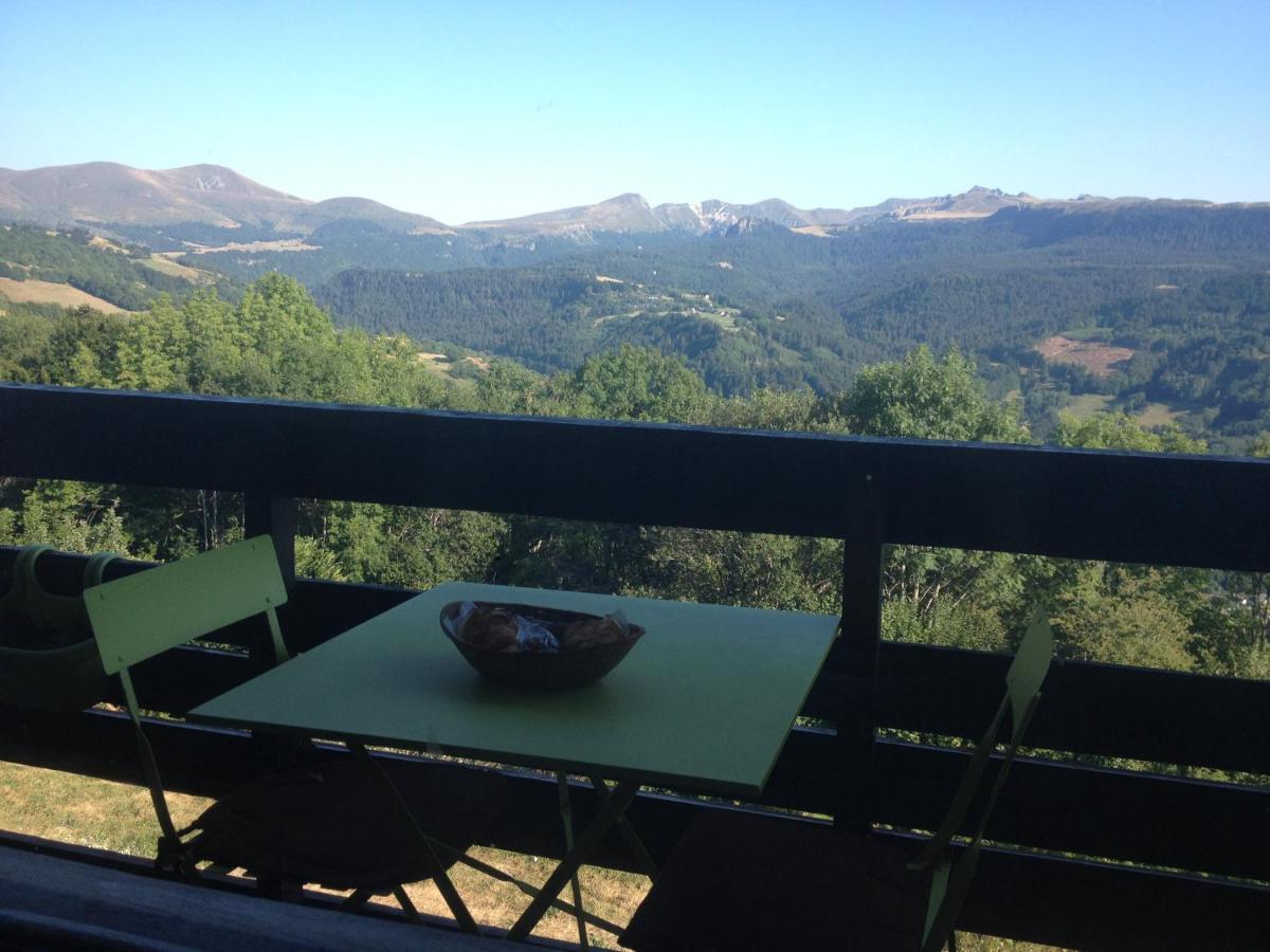 Duplex Superbe Vue Montagne Apartman La Bourboule Kültér fotó