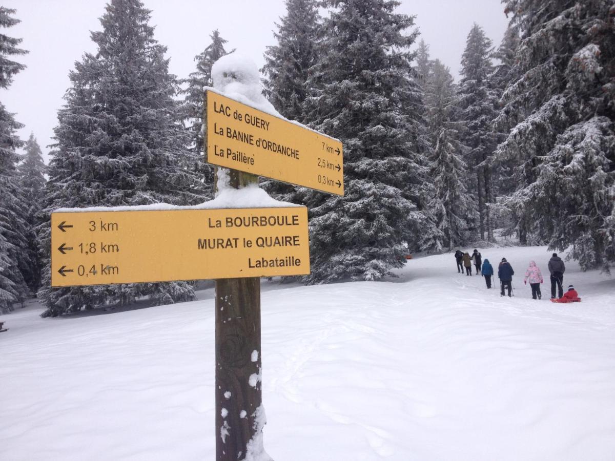 Duplex Superbe Vue Montagne Apartman La Bourboule Kültér fotó